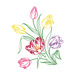 Blooming Tulips (Vintage)